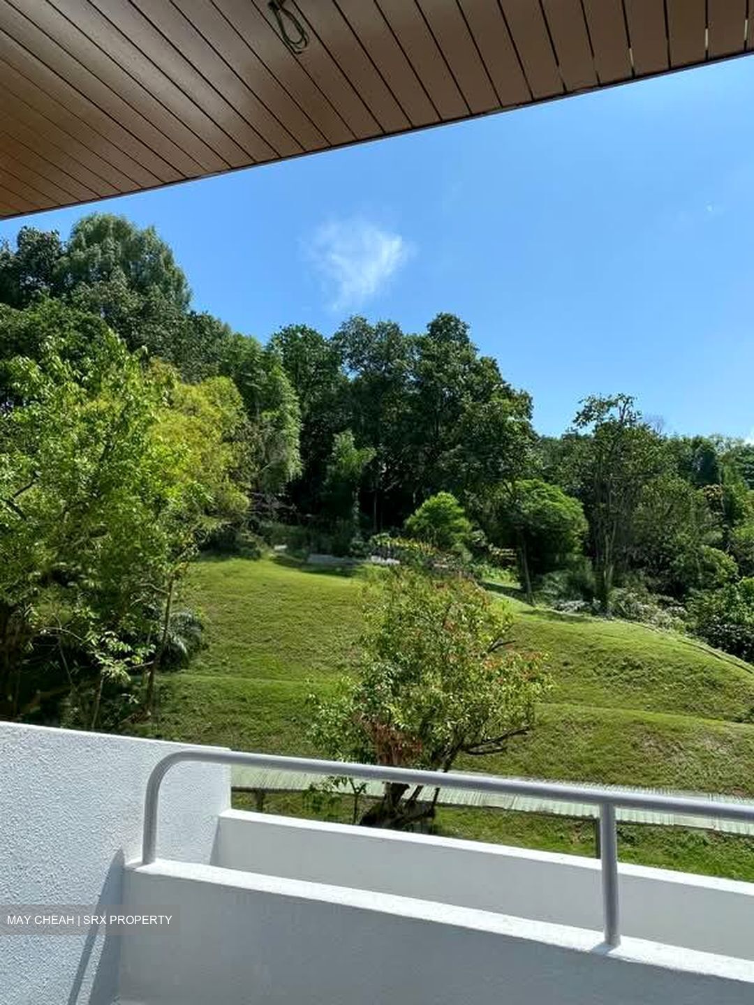 Clementi Park (D21), Condominium #604954791